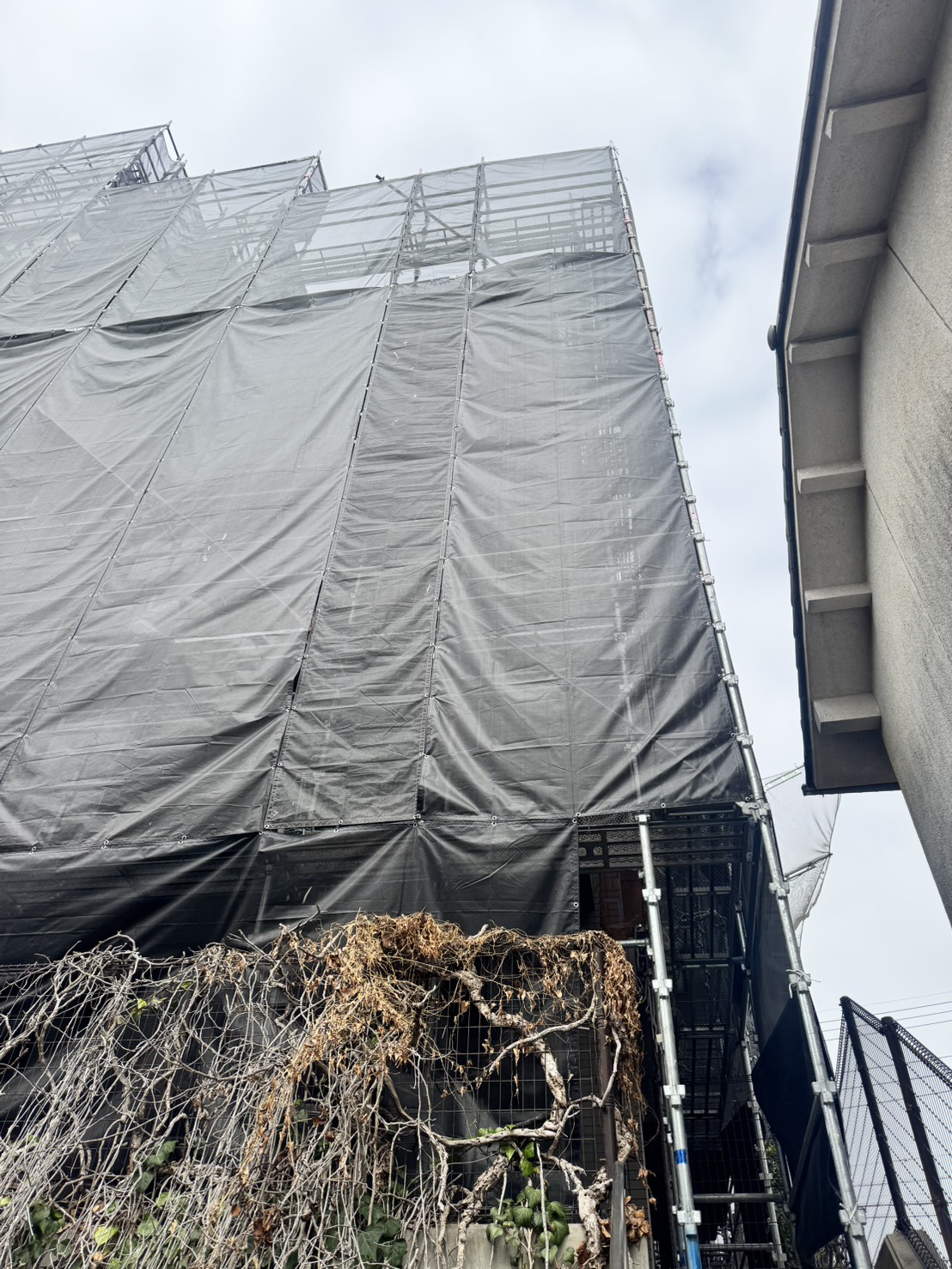 愛知県名古屋市 マンション 足場工事 側面